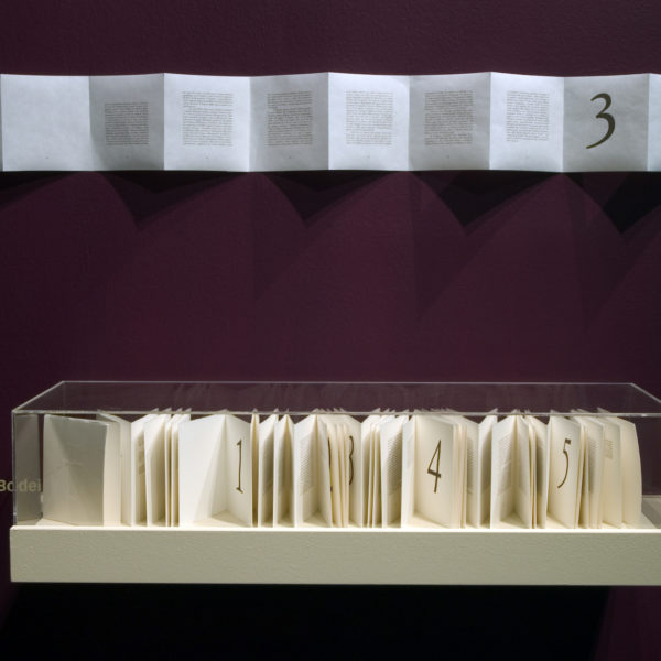 NuMa20 copia